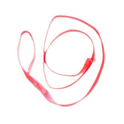 Dog Slip Lead - Pink