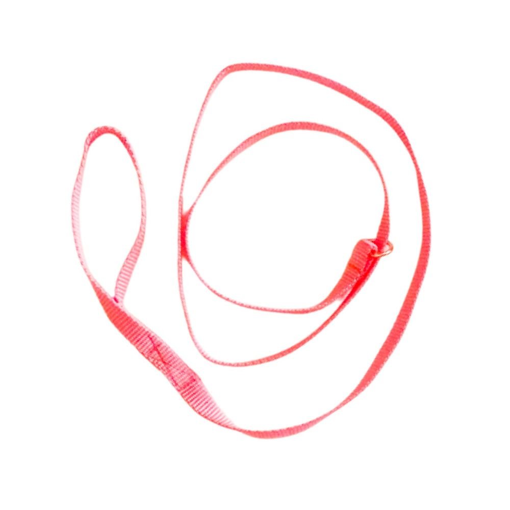 Dog Slip Lead - Pink