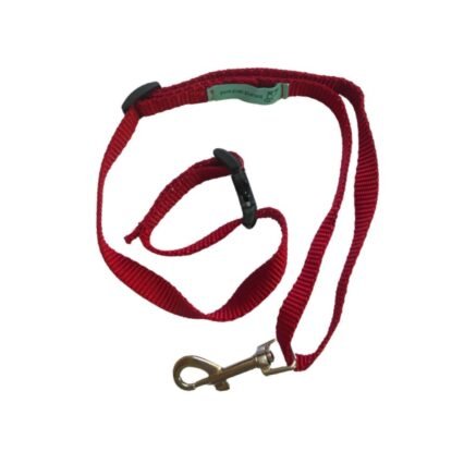 Dog Noose Tether - Red