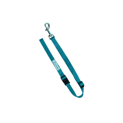 Adjustable Dog Noose Tether