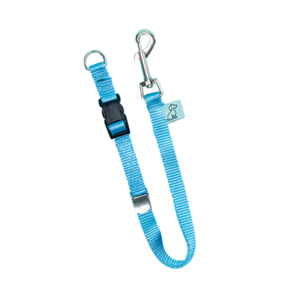 Dog D-Ring Tether - Sky Blue