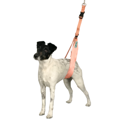 Adjustable Belly Strap