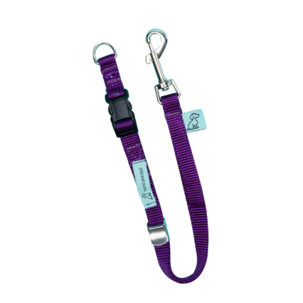 Dog D-Ring Tether - Purple