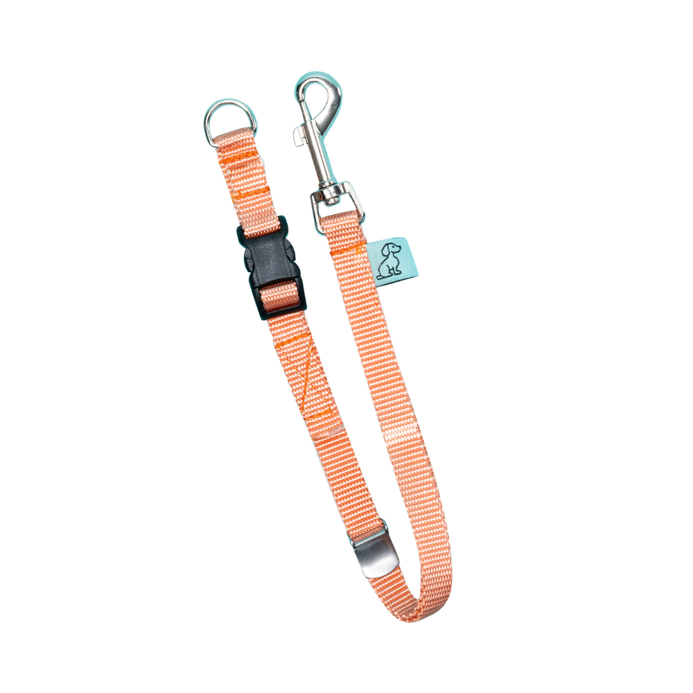 Dog Grooming D-Ring Camlock Tether - Peach