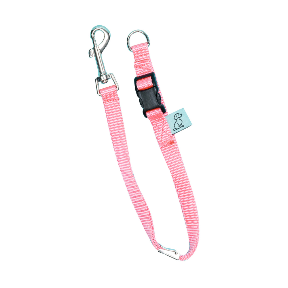 Dog D-Ring Tether - Pink