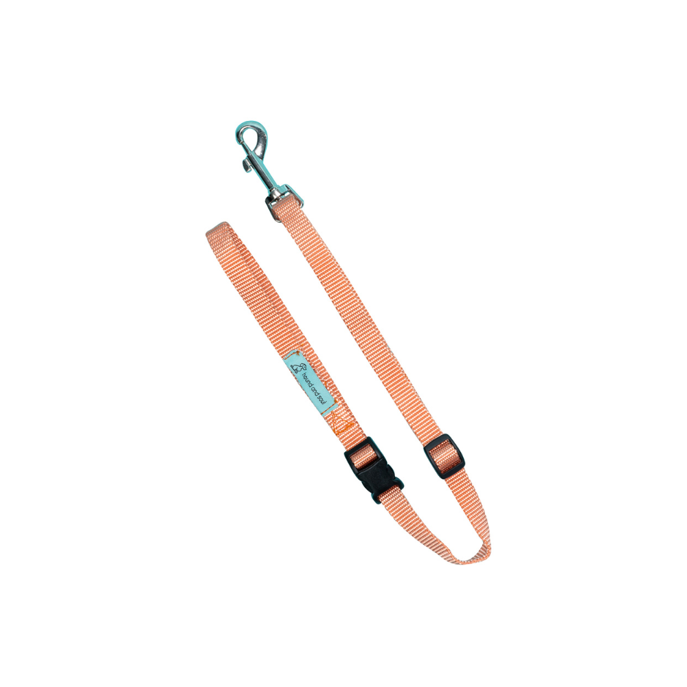 Dog Grooming Noose - Peach