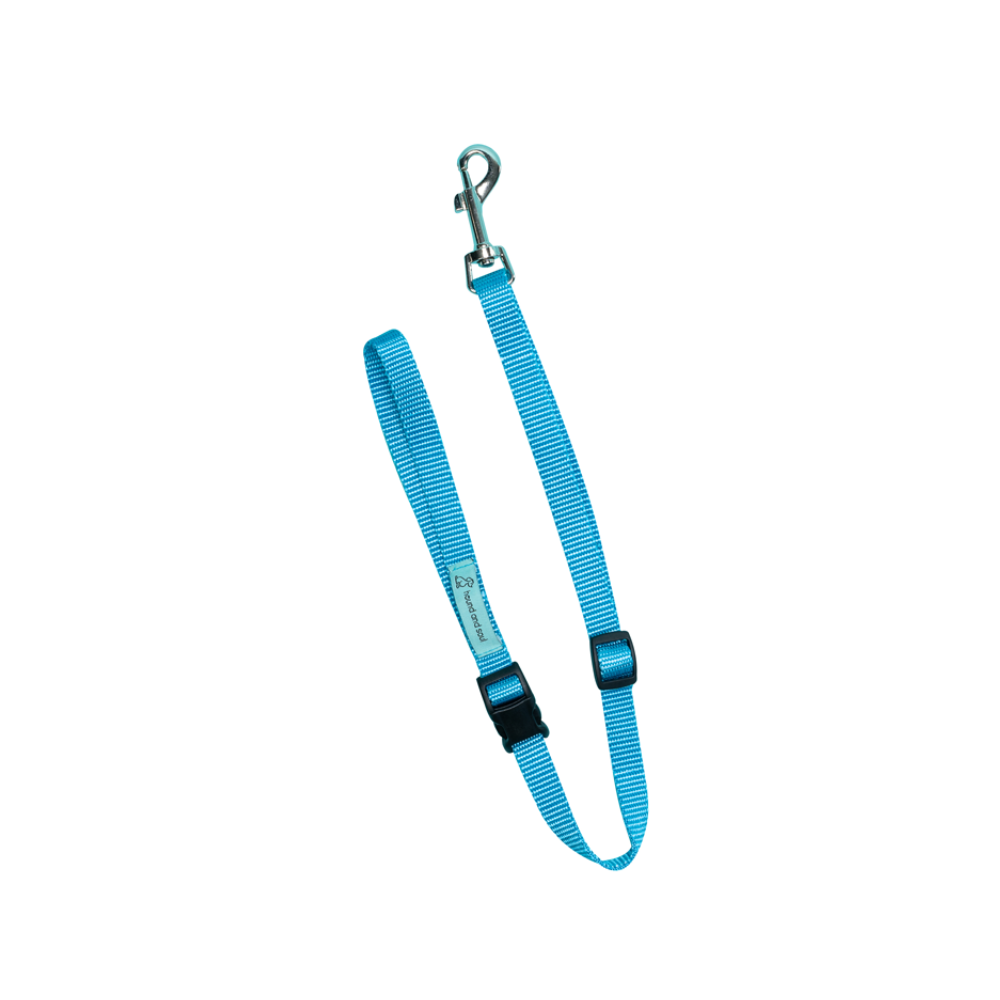 Dog Noose Tether - Sky Blue