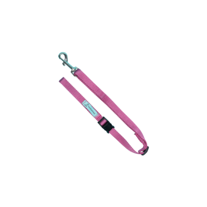 Dog Noose Tether - Rose Pink