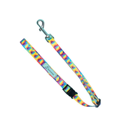 Dog Noose Tether - Rainbow