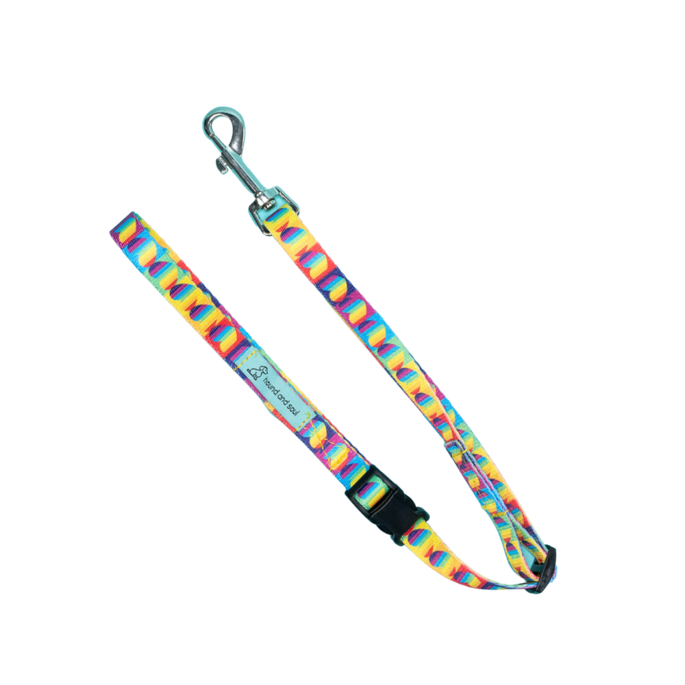 Dog Noose Tether - Rainbow