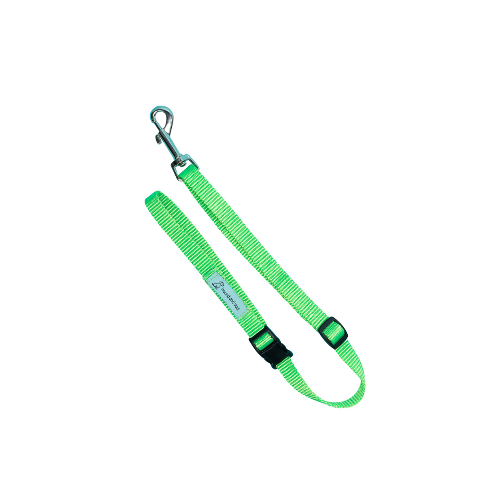 Dog Noose Tether - Lime