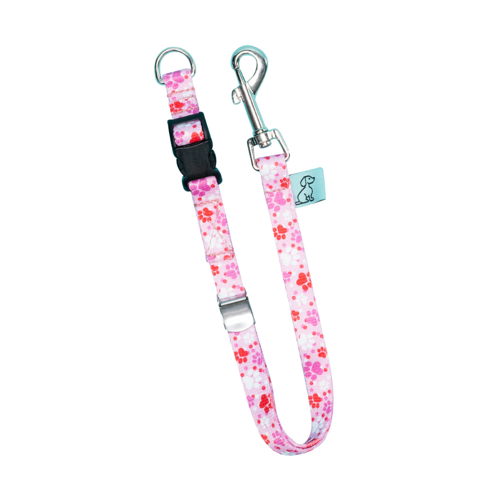 Dog D-Ring Tether - Pink Paw