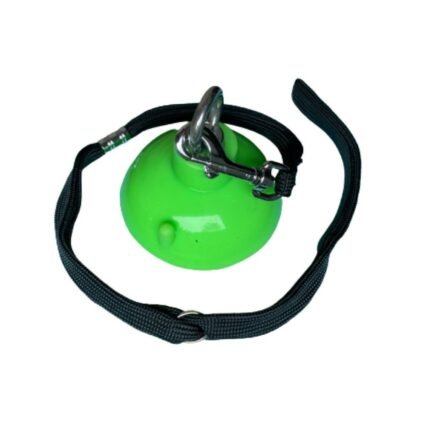 Suction Cup with Tether - Lime